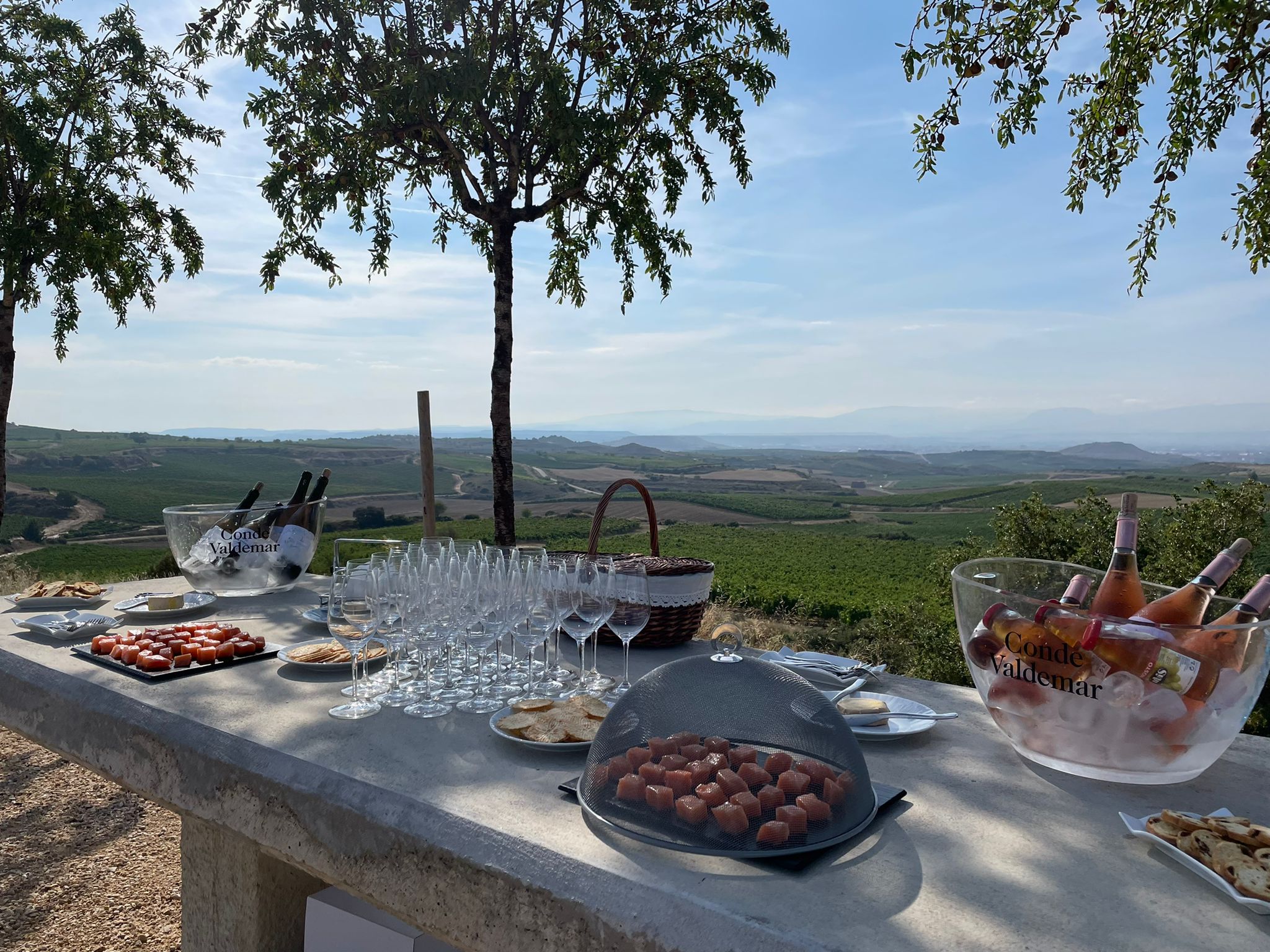 Mirador-Viñedo
